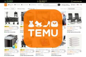 Temu官方网站截图